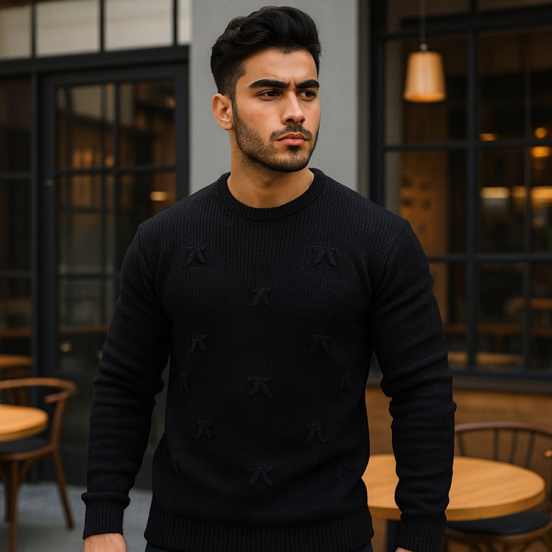 پلیور زاپ دار مشکی مردانه مدلDeta